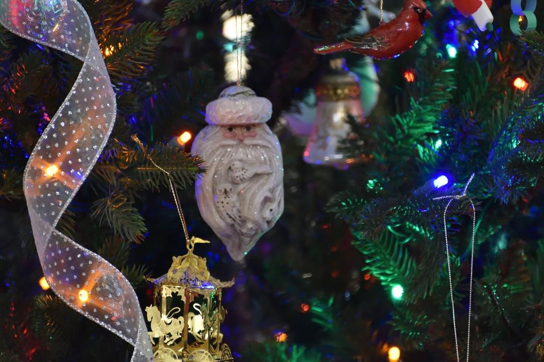 As we approach The Eve of Christmas I (we) and the Marongerie (Bogie, Eliot and Ezra) Wish you the Merriest, Healthiest, and Most Peaceful Holiday Season.