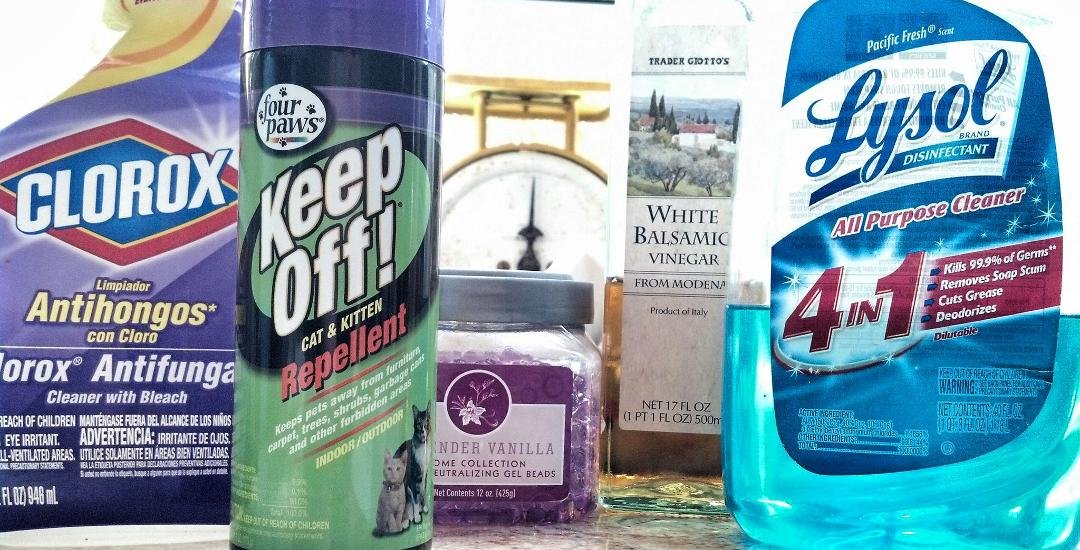 What the house smells like right now.