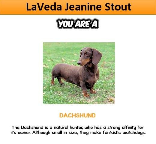 Click here to find out " What kind of DOG You Are " ====> http://bit.ly/Jeko67