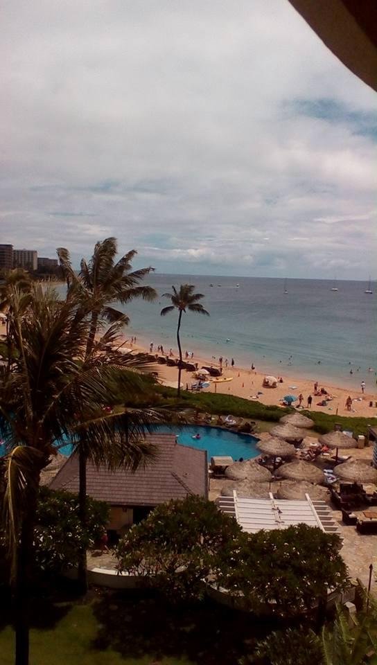 Wowie it's Maui
