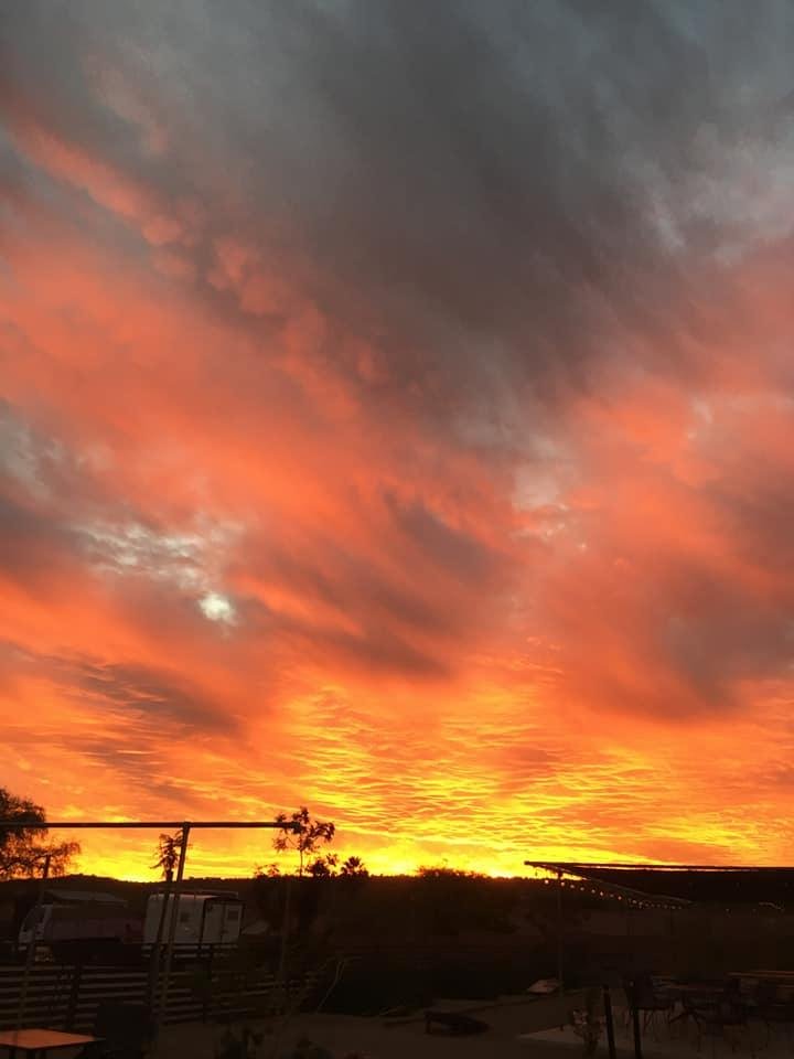 Steven Sheldon's album, Mobile Uploads