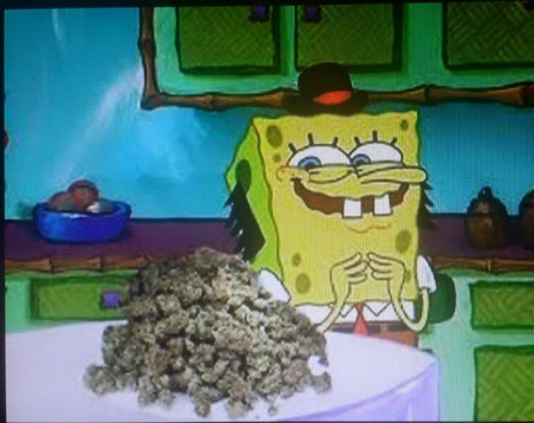 HAPPY 4/20!!!!