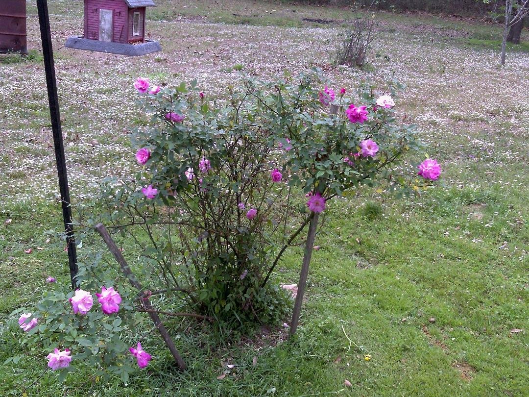 Peter Schwab's album, Timeline Photos