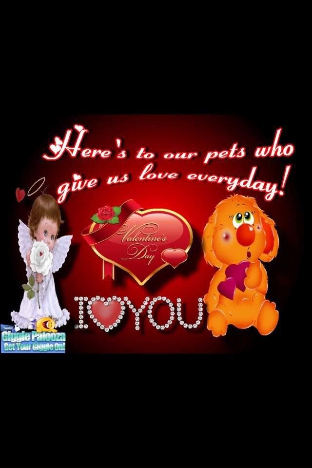 Vicki Lauth's album, Timeline Photos