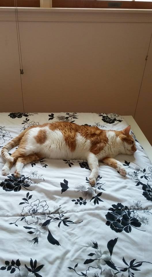 What a life!