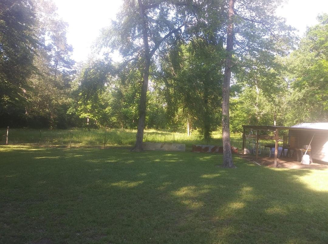 Looking out my backyard