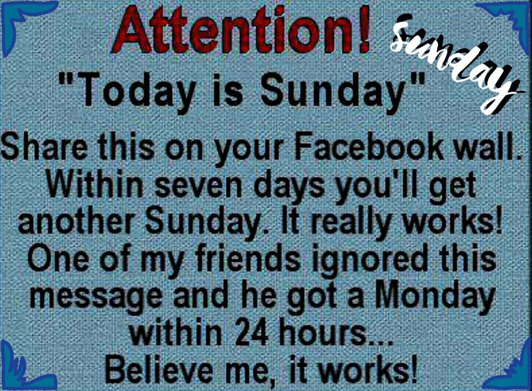 Lol!!! Happy Sunday 🌞🌼