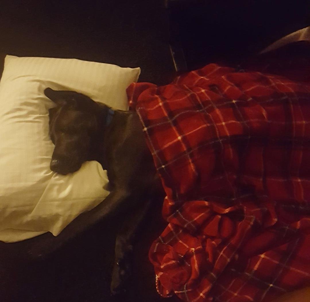 He's worn out