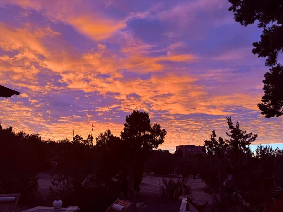 And the day just keeps giving. Feeling surrounded by beauty