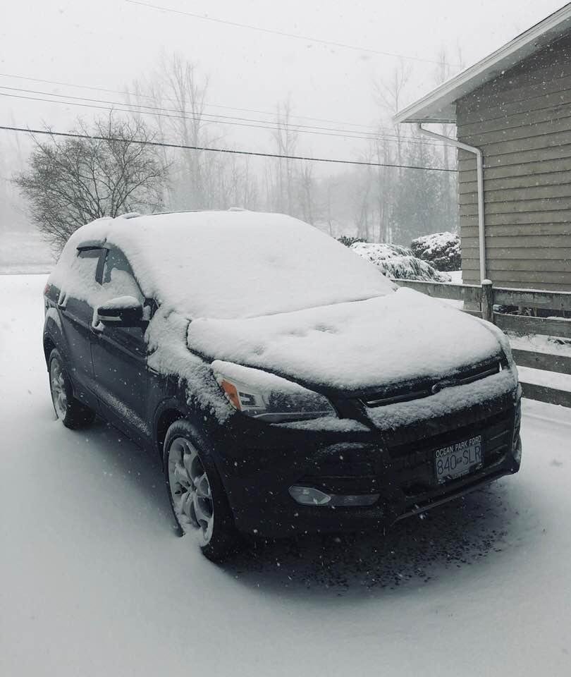 Got an Escape a couple weeks ago and it looks like it’s a good thing I got the all wheel drive model! lol