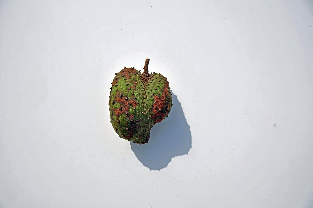 A Prickly Valentine from Abuja, Nigeria