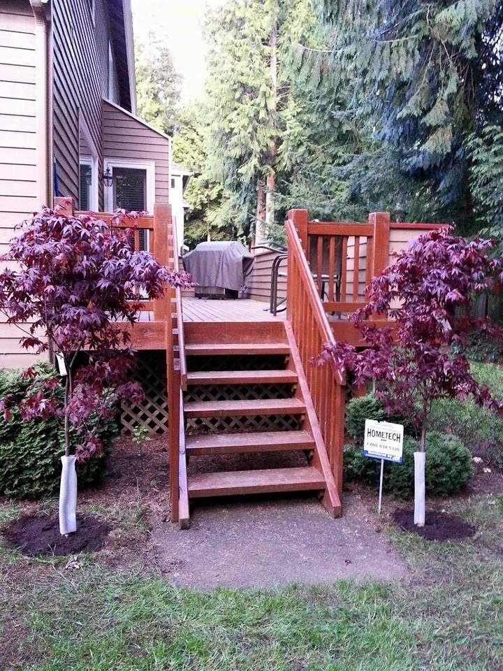 Planted 2 Japanese Maples today!