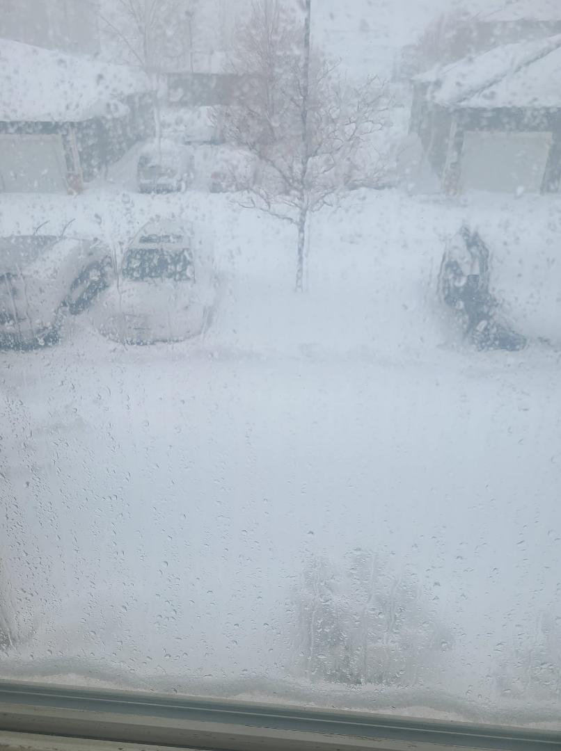 Colorado is snowed in❄❄