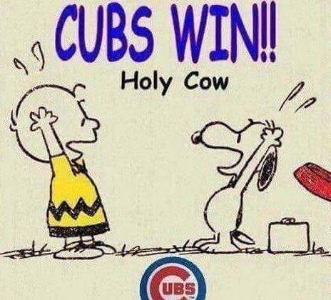 Cubs Win 10-6 Final! 🙂💕🙂