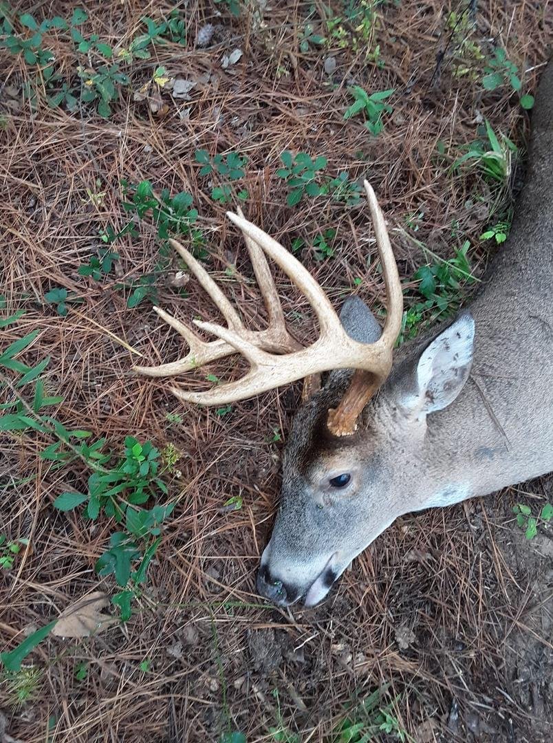 Time to come home from deer camp for a while! Good friends and 7 deer in the last couple weeks.