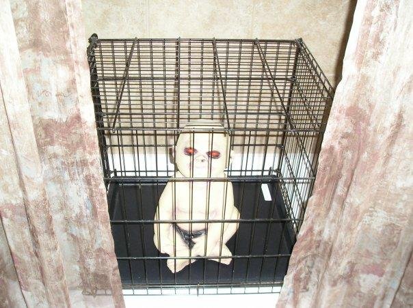 Guests who used the potty were greeted by baby