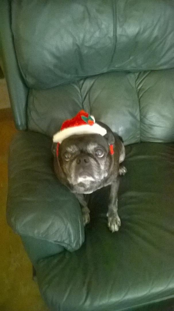 Merry Christmas to all my friends and family