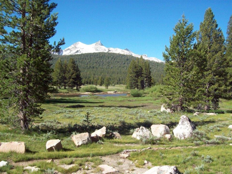 Todd Wagner's album, Pacific Crest Trail #5