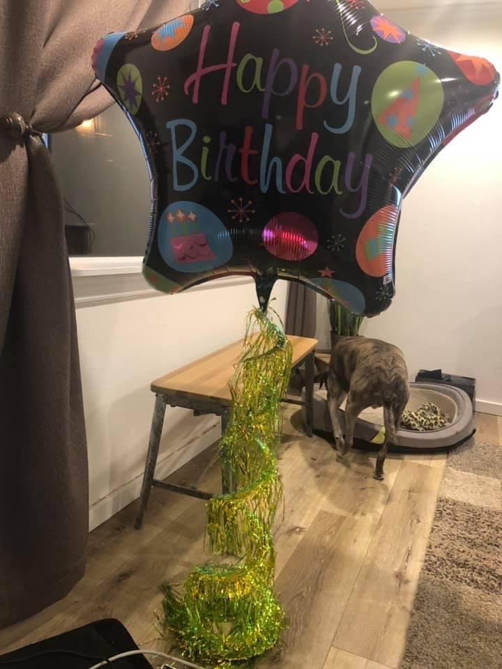 Thank you Asa Sprague for the birthday surprise