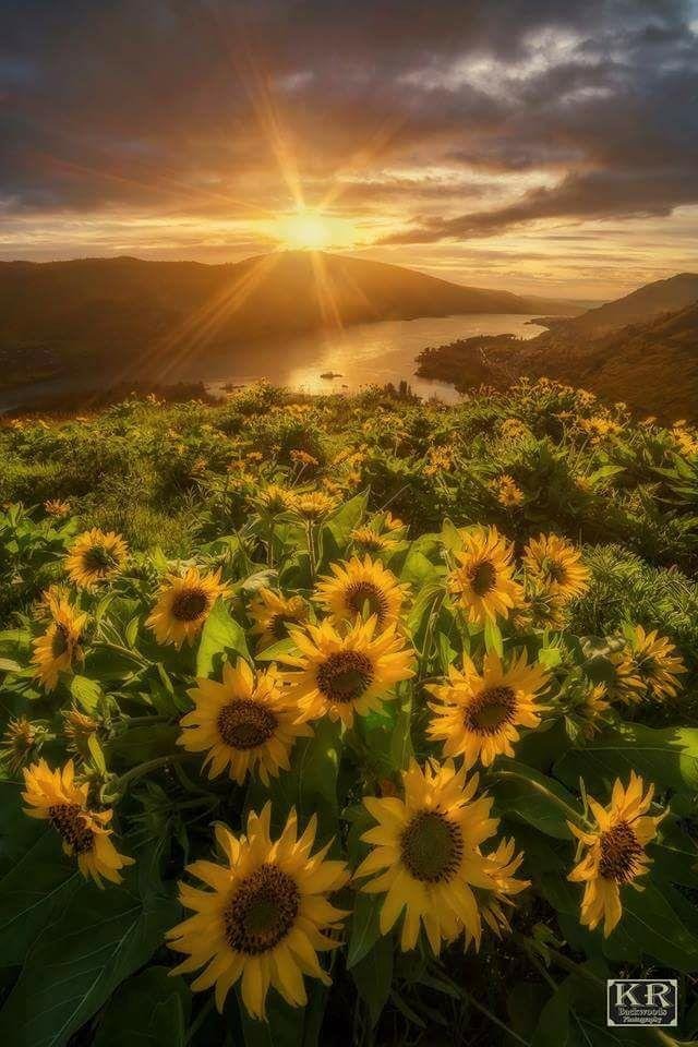 Janice Stephan's album, Timeline photos