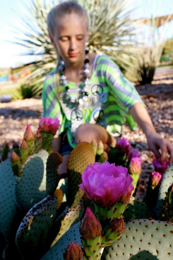 Angelina enjoying the blooming cactuses at Fountain Hills.