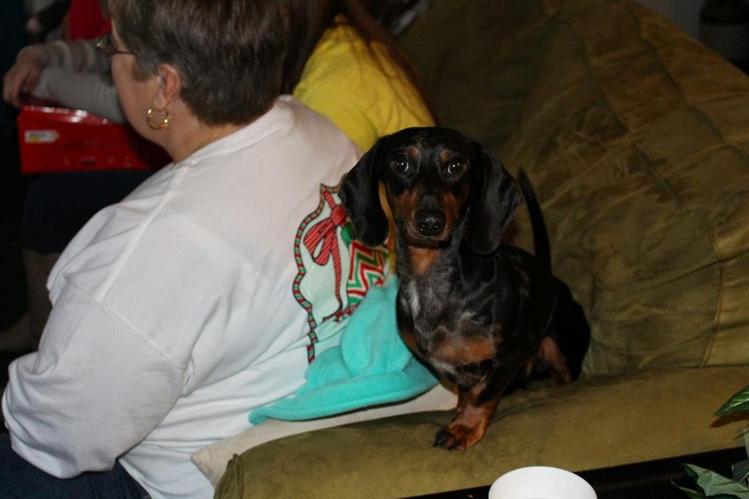 Miss my Magnum