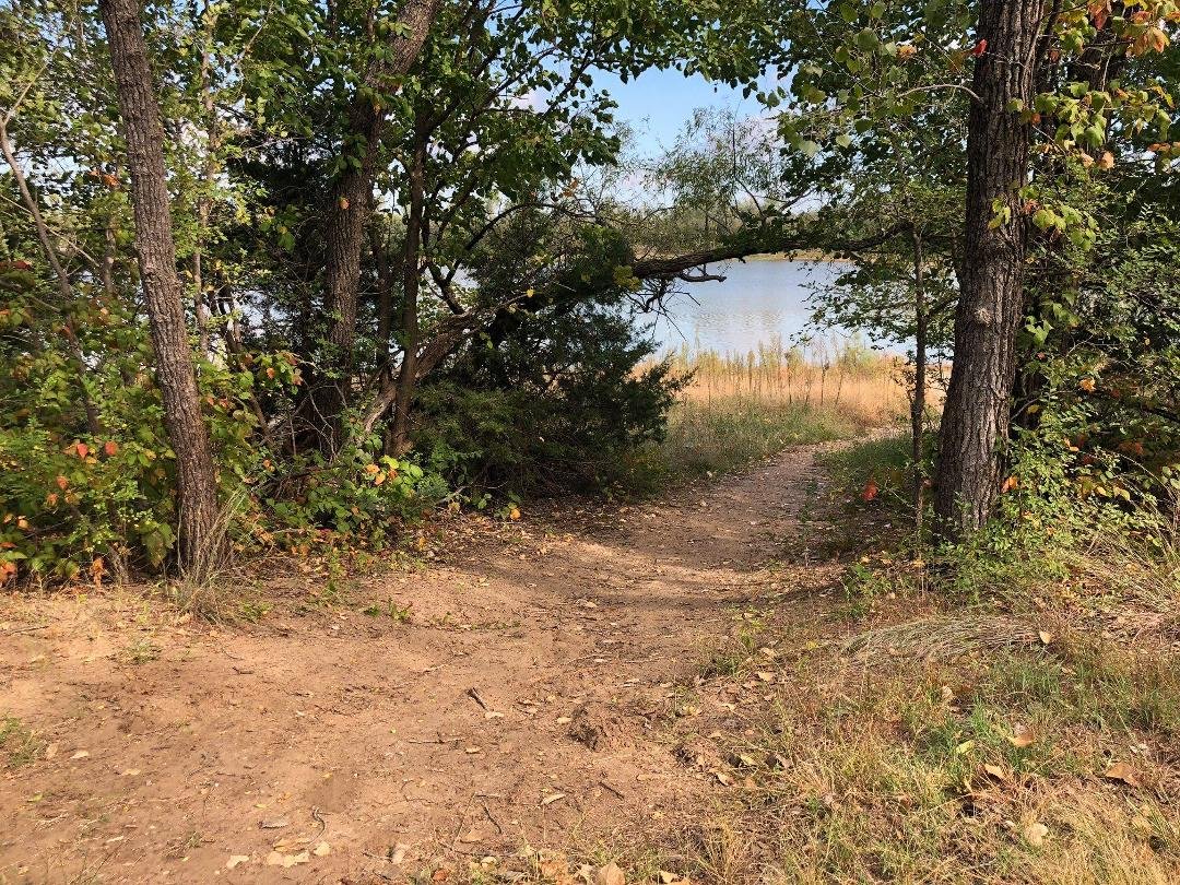 Horseshoe Lake in the Park
