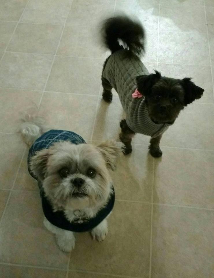 Looking cute in our "coats". Brr in the 20's out!