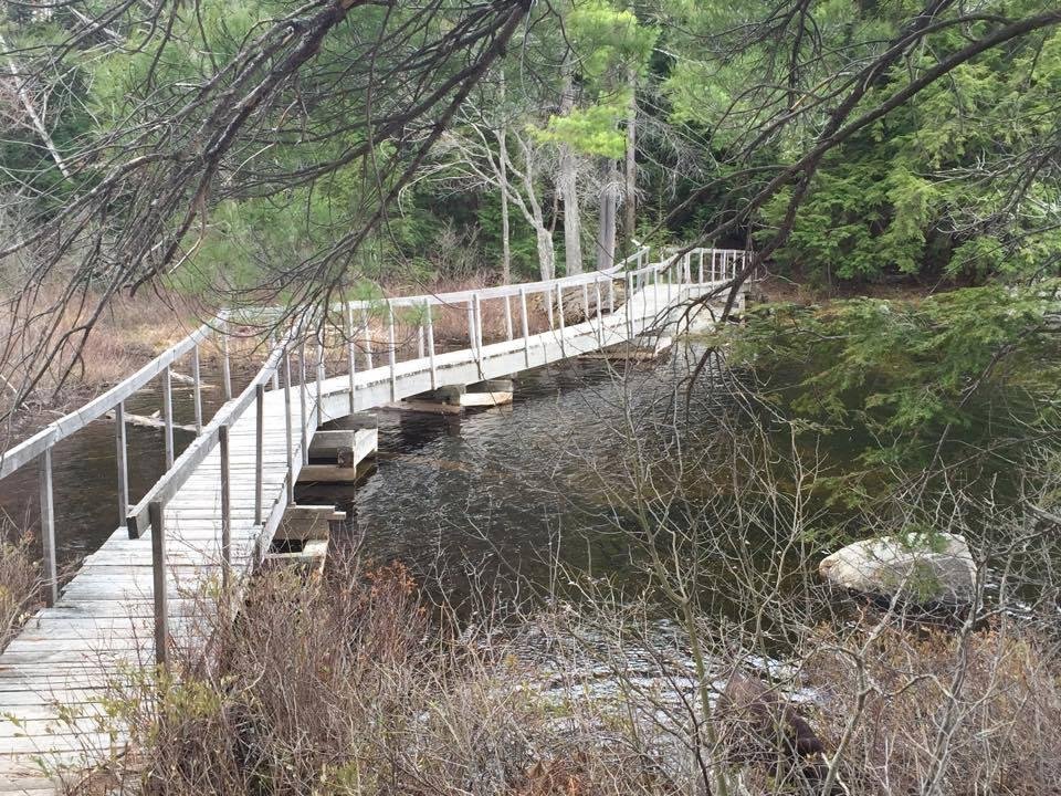 Bridge in the middle of Hardy Lake