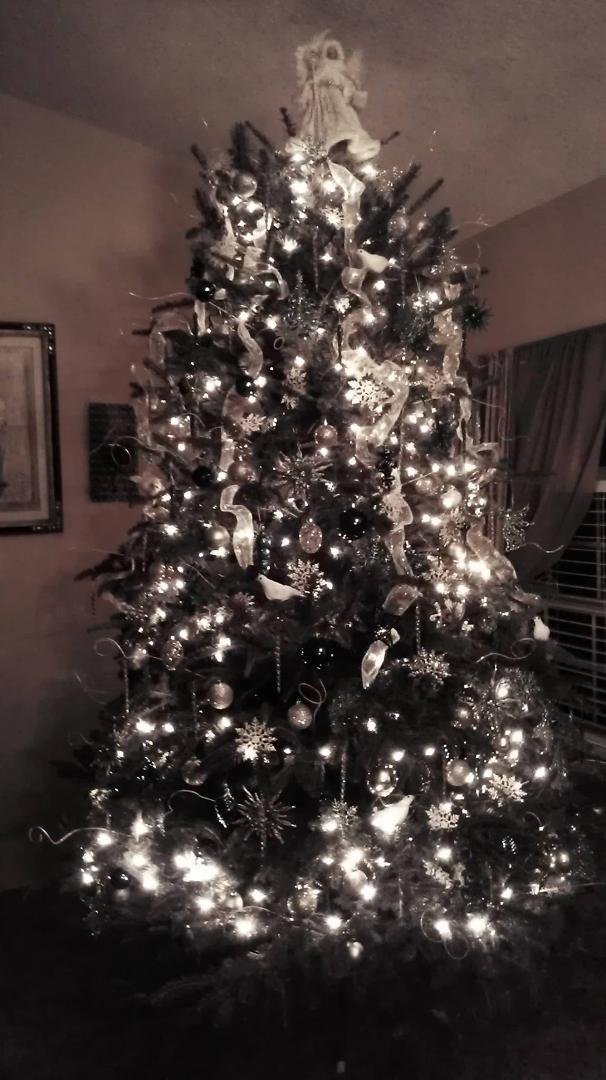 Anna Acierno's album, Timeline Photos