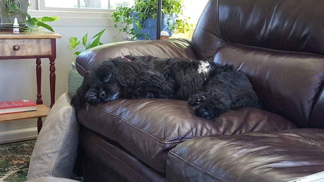 Monday Afternoon. Time for a nap