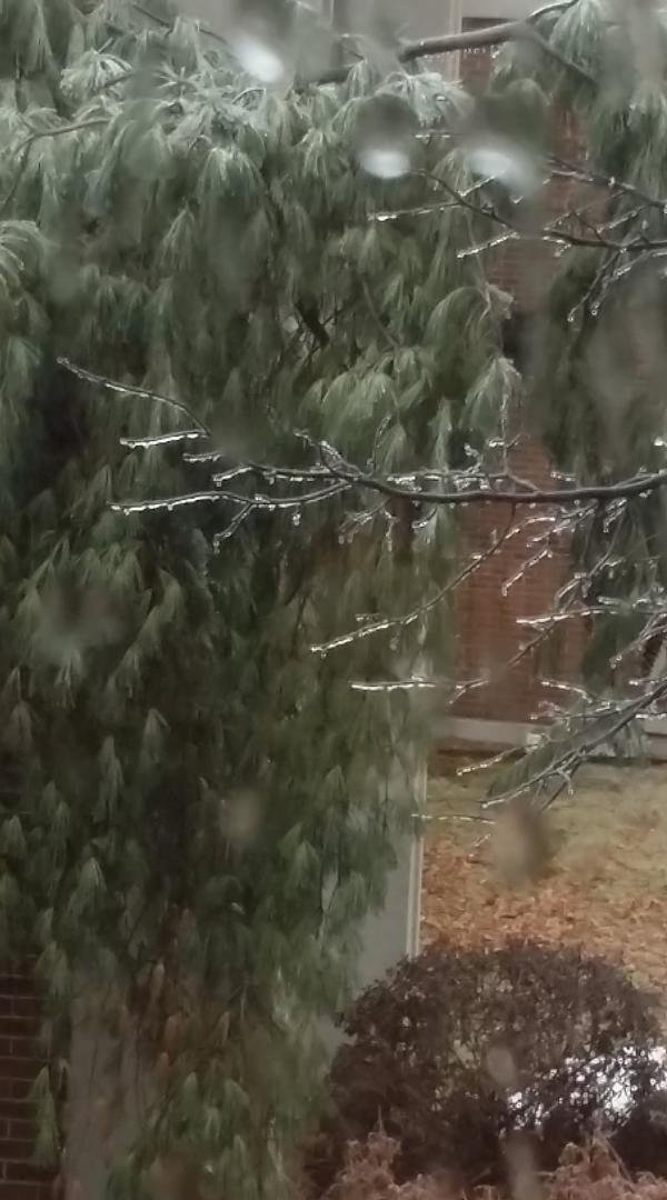 Sugar coating..Looks sweet.