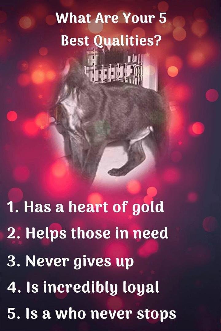 Ellen Ricker's album, Timeline Photos