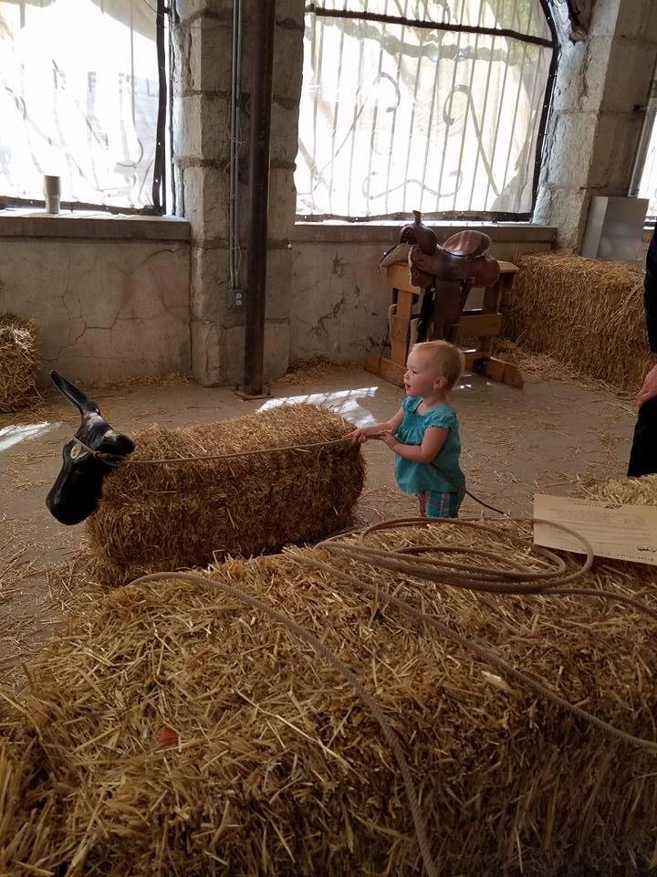 I think she needs a horse so she can ride and rope!☺!!