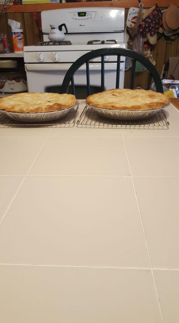 Rhubarb pies.