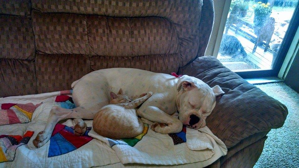 Lazy Sunday for them