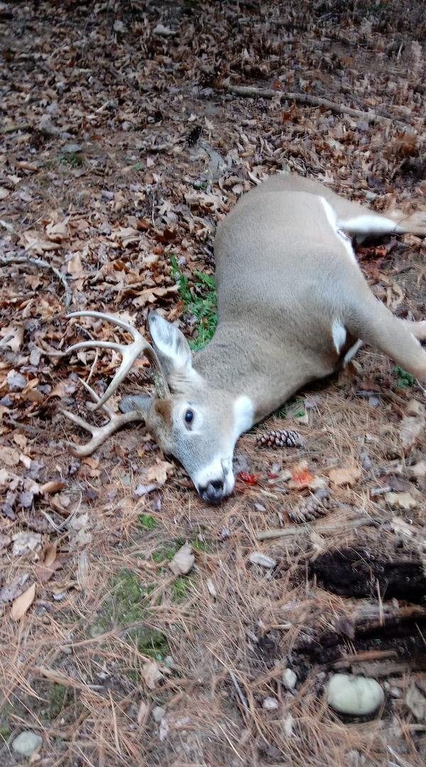 9 pointer down.