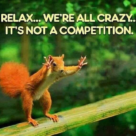 Dave McCoy's album, Timeline Photos