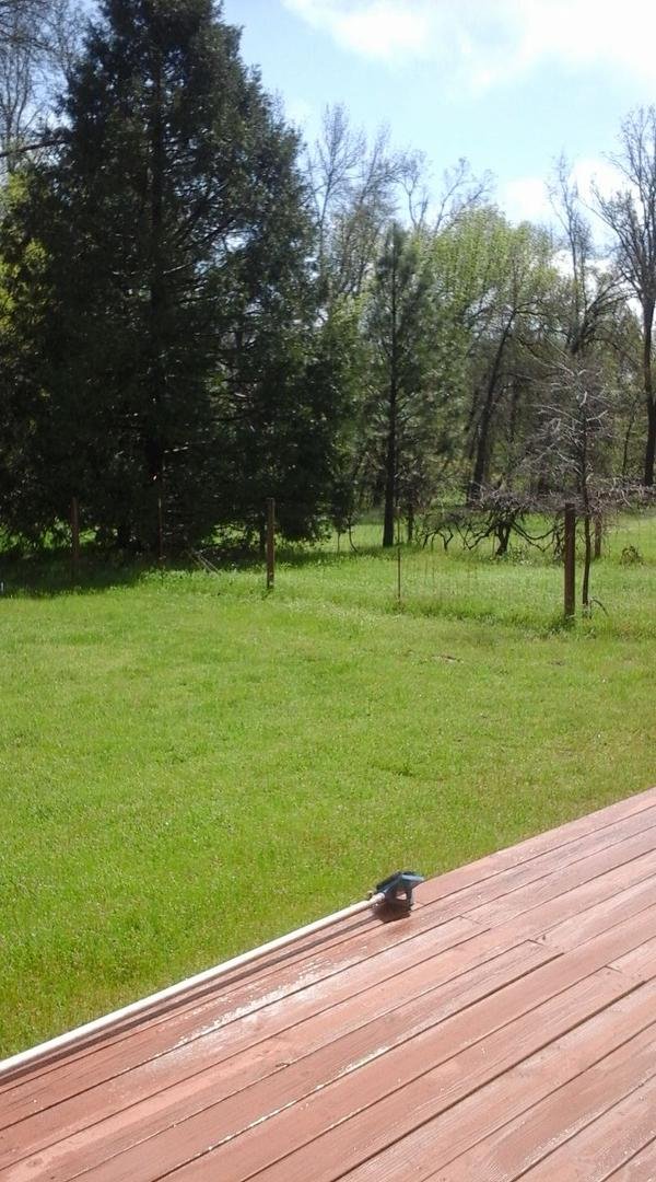 First rsin, then snow and now sunshine! Mother Nature can't make up her mind today!
