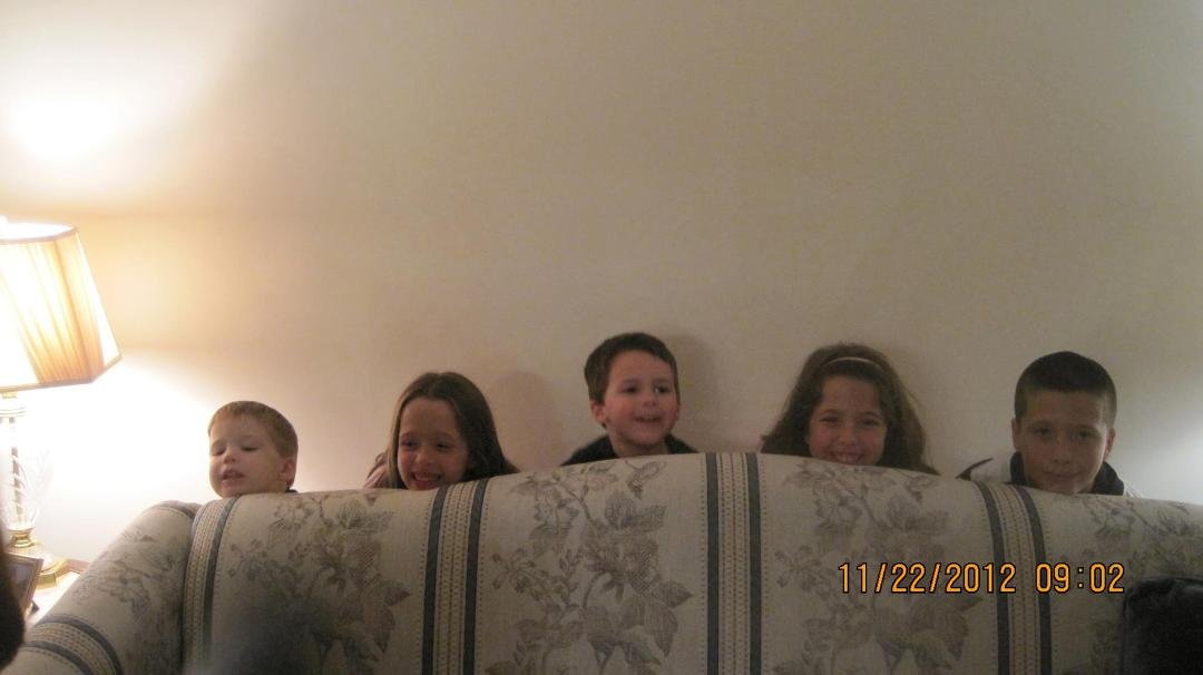 the fun bunch