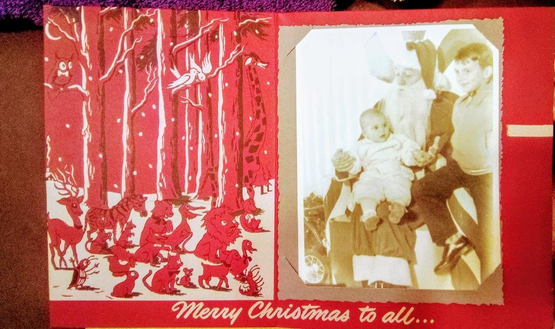 Just to show the world that whatever damage time hath wrought, I was absolutely the cutest baby for my first Xmas in 1951 Taken at a store named Butler's, which is evidently long gone 🎄🎄🎄🎄🎄🎄🎄🎄🎄🎄🎄🎄