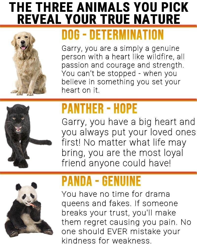 Garry Hardt's album, Timeline Photos
