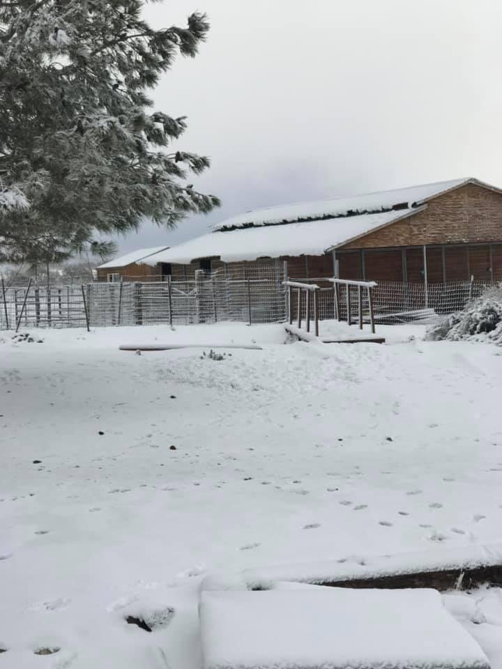 Snowfall last night