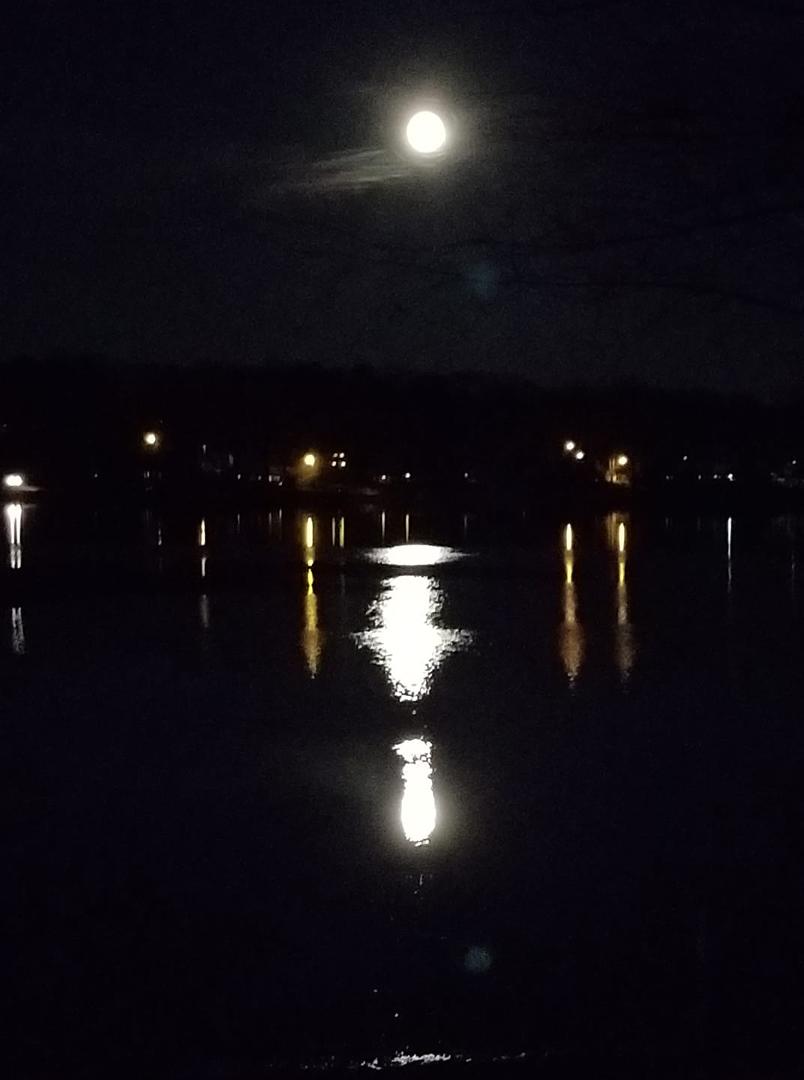 There's a moon out tonight....