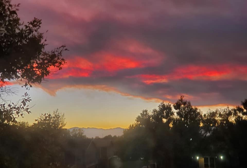 Barbara Allison's album, Mobile uploads
