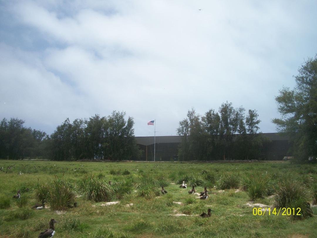 Happy Flag Day!