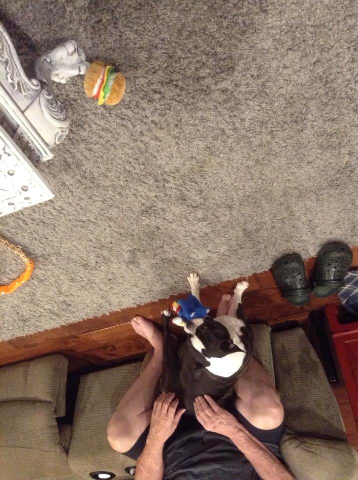 April Freeman's album, Mobile Uploads