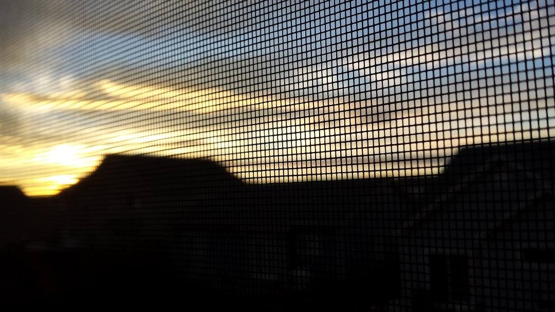 Looks like another nice day!