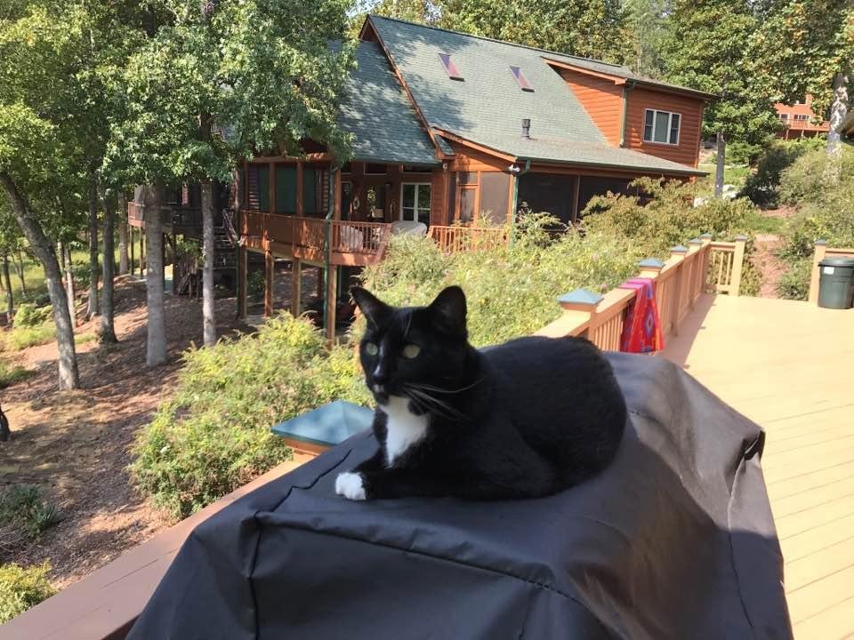 Izzy on vacation