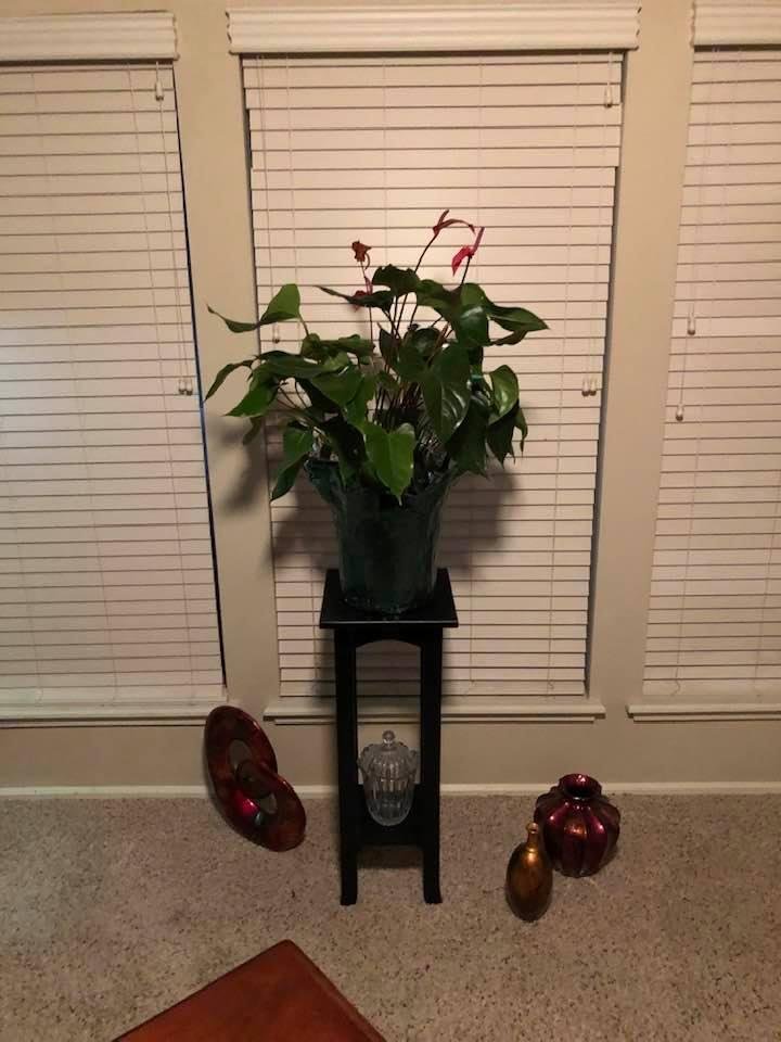 Got another one! 💐